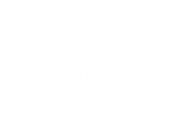 Danika Tours Logo